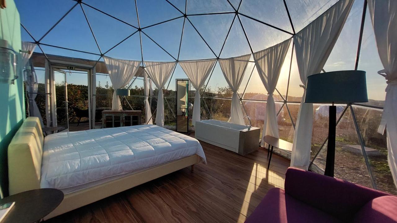 Glamping Skies - Adults Only Estremoz Room photo